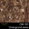CW 101