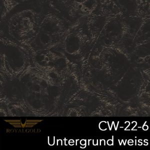 CW 22-6