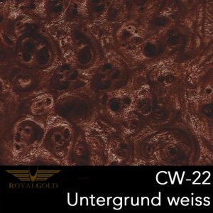 CW 22