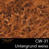 CW 31